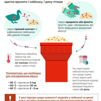 475502757_509180642204527_779950483606035976_n