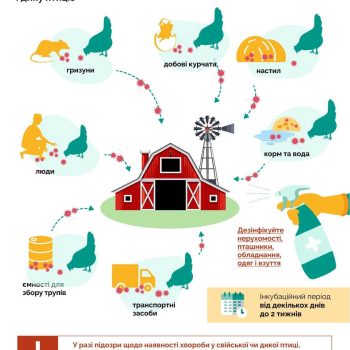 475768176_509180688871189_8240728604324880726_n