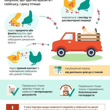 476347798_509180632204528_6801218846609679621_n