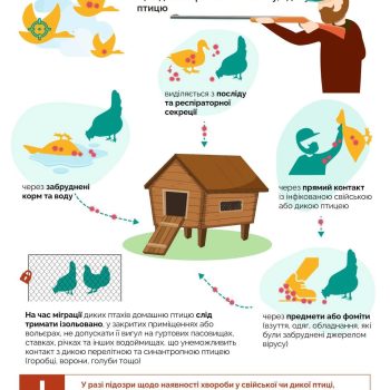 476399087_509180738871184_7020982931603742143_n